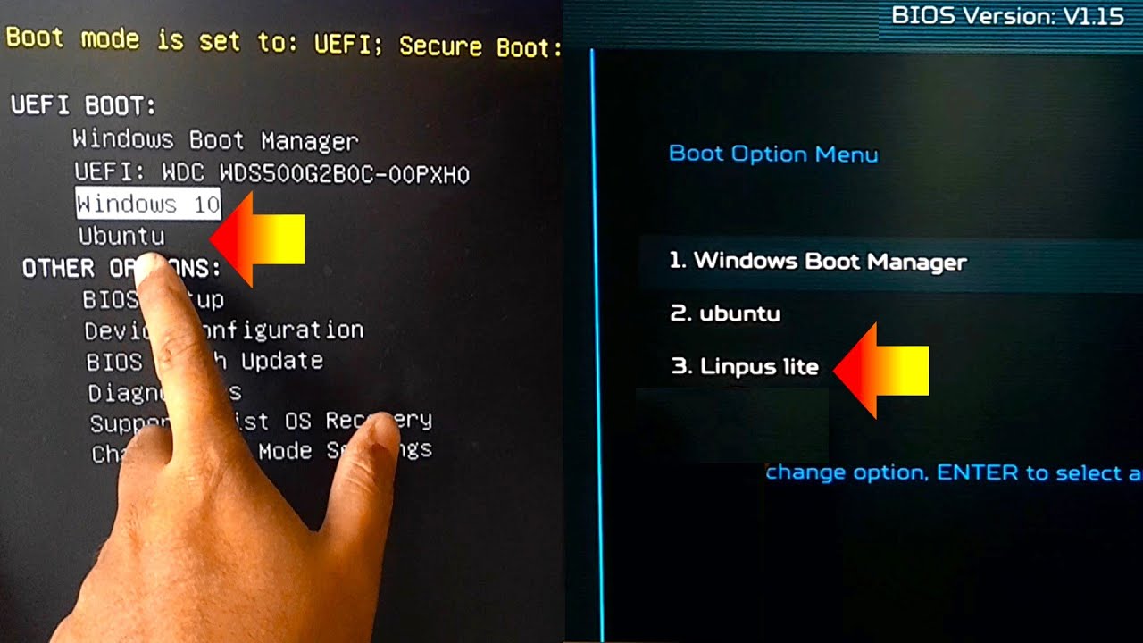 How to Delete UEFI Boot option from BIOS Boot Manager in Windows 11, 10