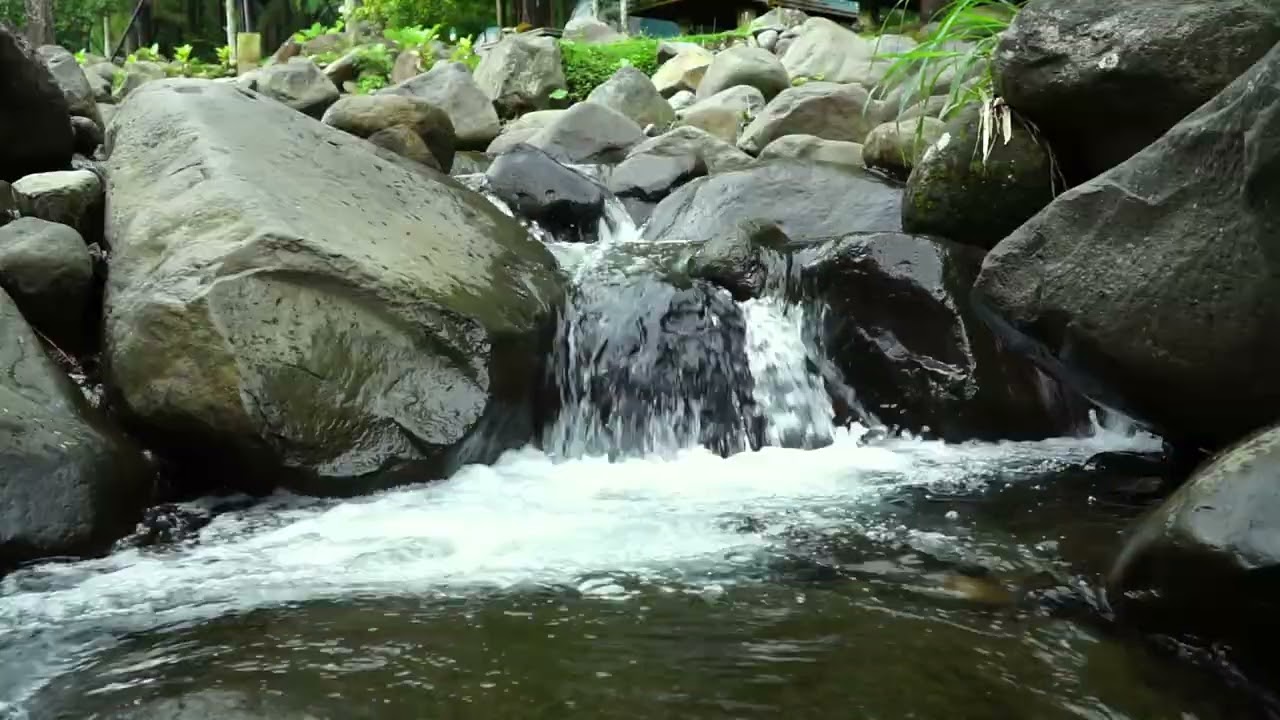 Peaceful River Soundscape for Studying, Reading, Working and Deep Mental Relaxation