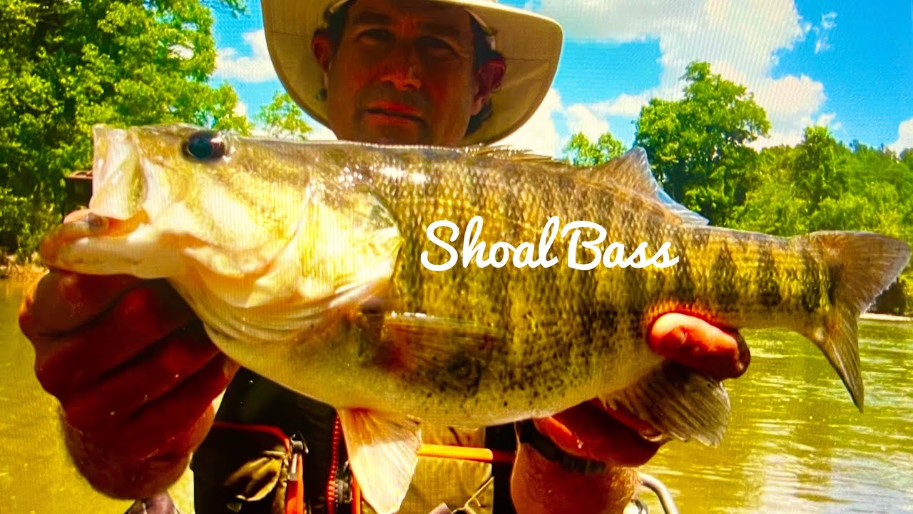 Exploring the Flint River for Shoal Bass