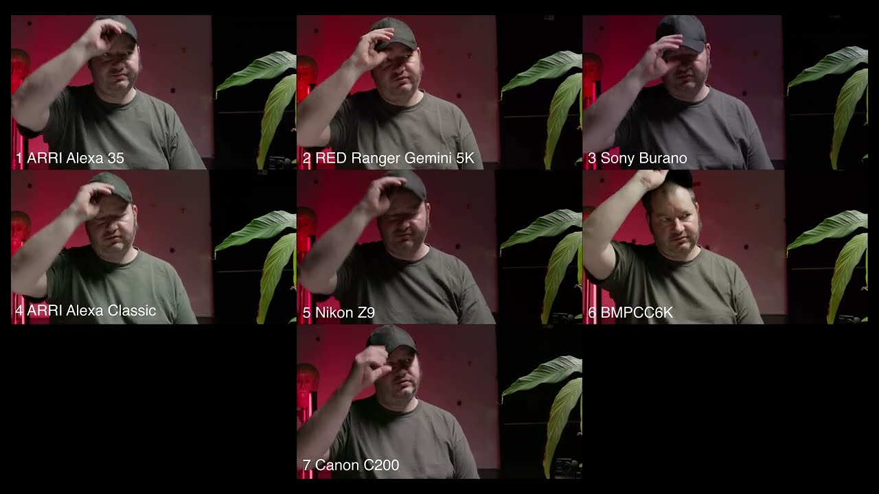 7 Camera Color Comparison ARRI, Blackmagic, Canon, Nikon, RED, Sony