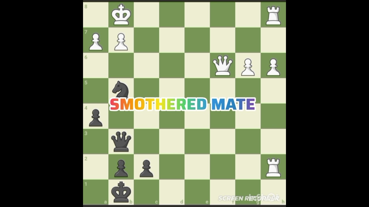 SMOTHERED MATE EXPLAINATION 1!|BY SP11 