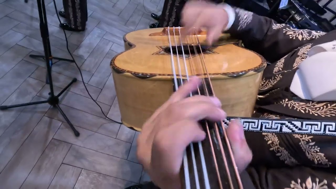 Mariachi Ciudad - Vida Prestada
