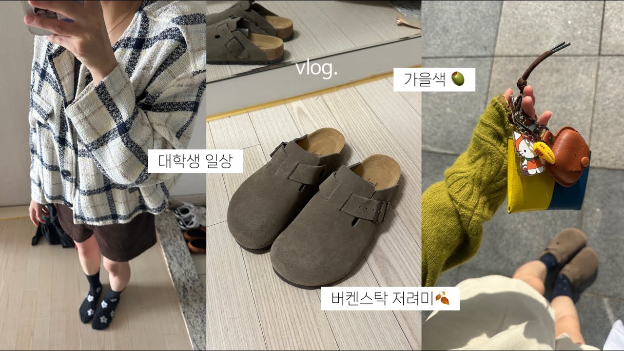 대학생 일상 vlog | 시험기간. 버켄스탁 저렴이..🤎 지그재그 가을 옷. 쿠팡 자취템. 새 안경. 추석 연휴. 