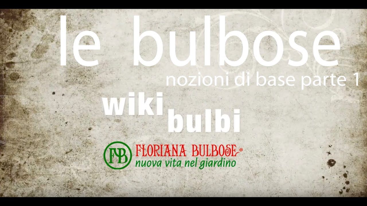 wikibulbi - Le bulbose - nozioni di base 1