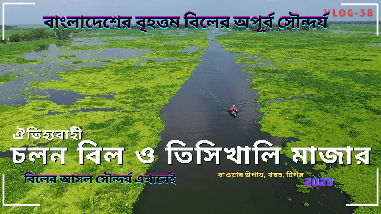 চলন বিল ভ্রমণ । বাংলাদেশের বৃহত্তম বিলের অপূর্ব সৌন্দর্য। Chalan Beel । Cholon Bil । Singra Natore