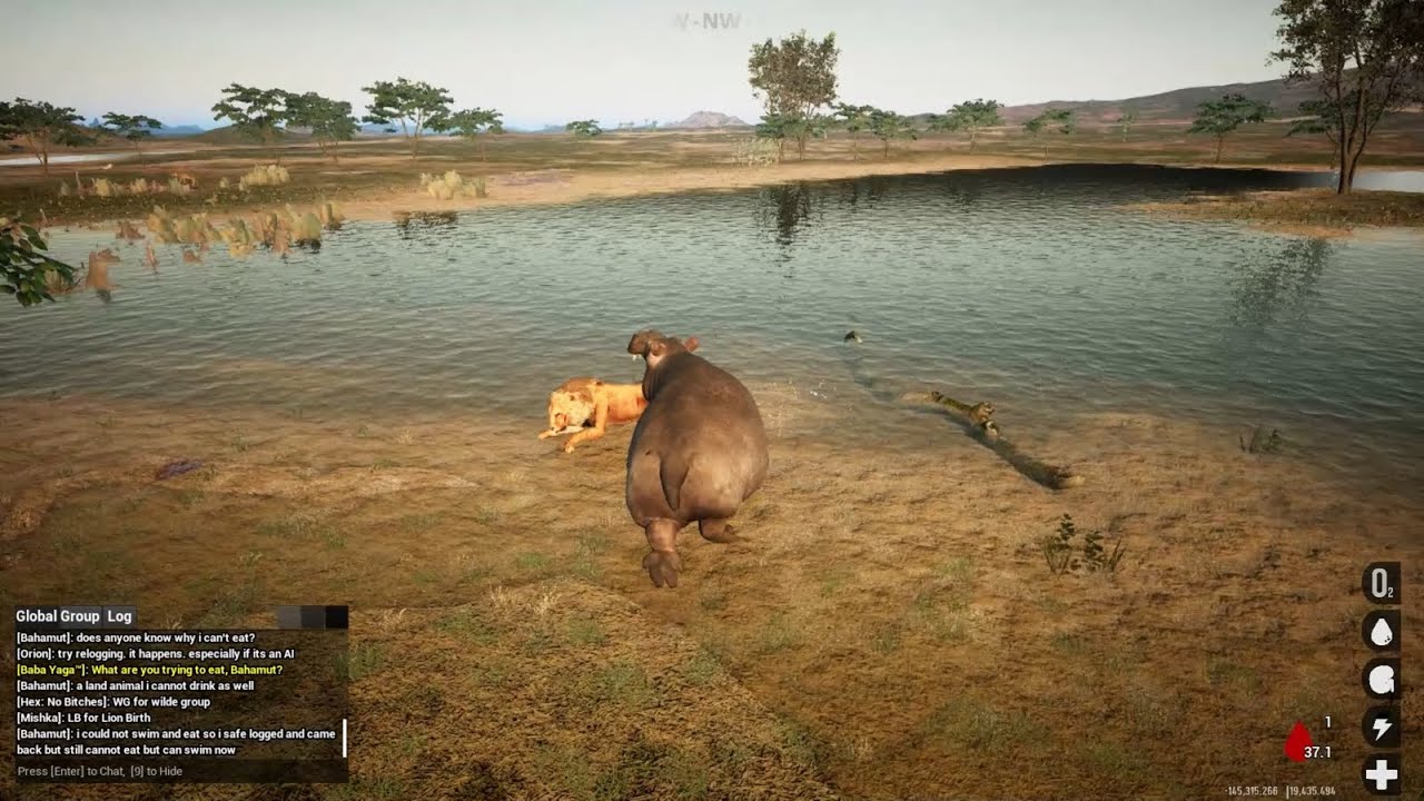 Animalia Survival - Hippo on crack