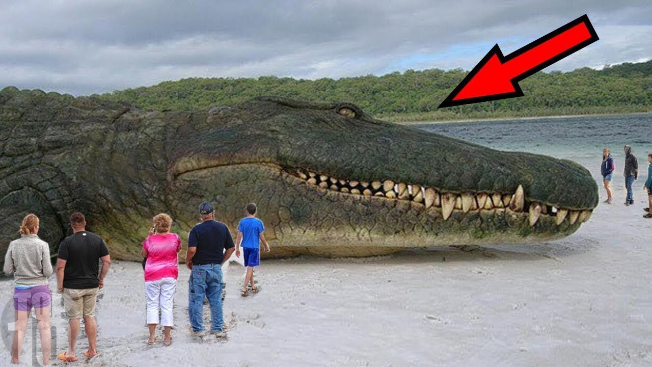 10 IMMORTAL Animals You Won't Believe Are Real