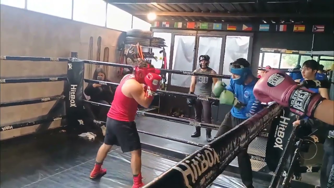 Tyson VS Hit boxing 