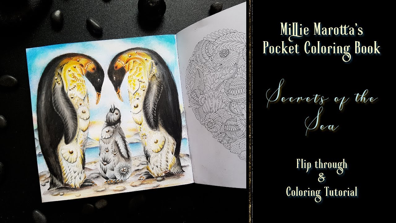 Coloring Millie Marotta's Penguins and Secrets of the Sea Pocket Colouring Flip Through