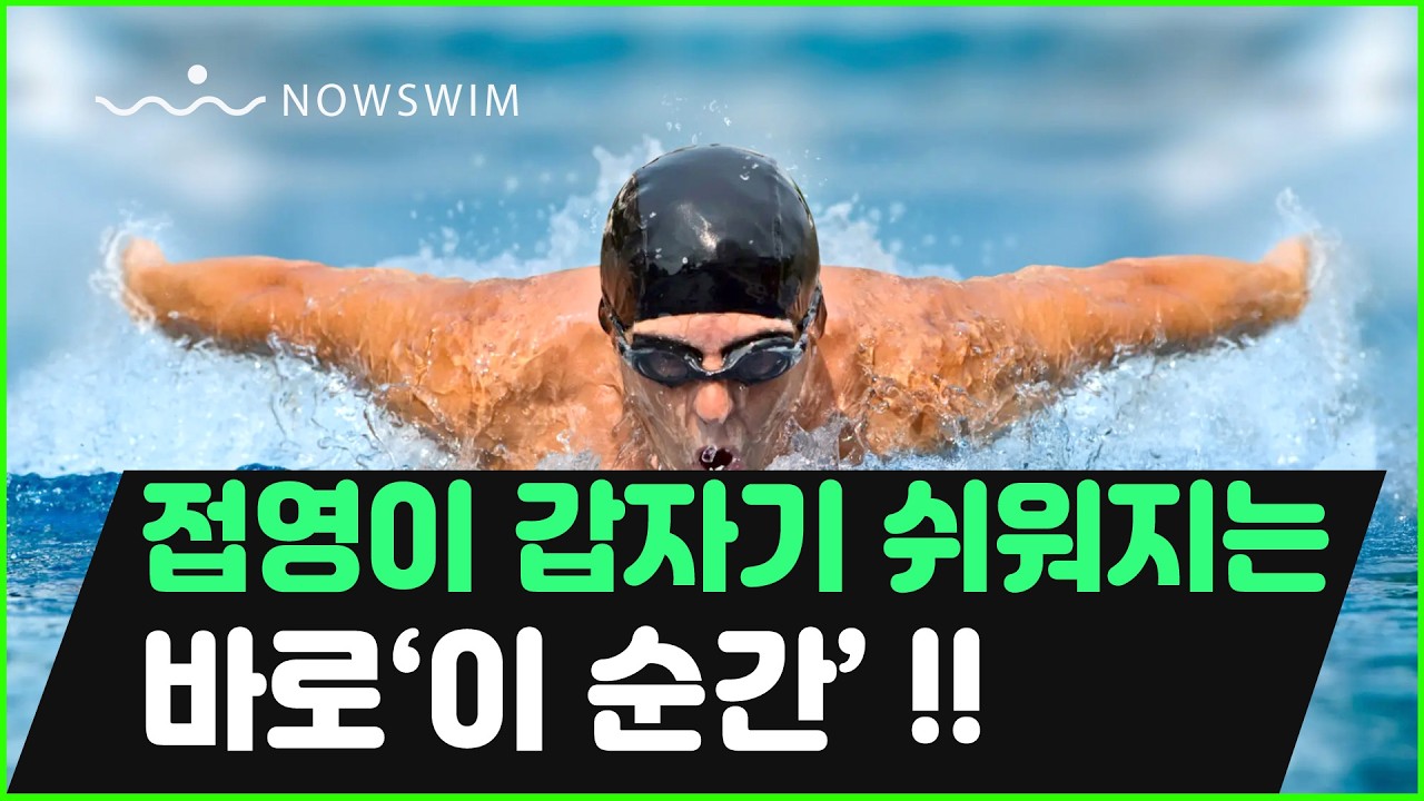 접영은 힘이 아닙니다: 가슴이 안 뜨는 진짜 이유와 타이밍 공식