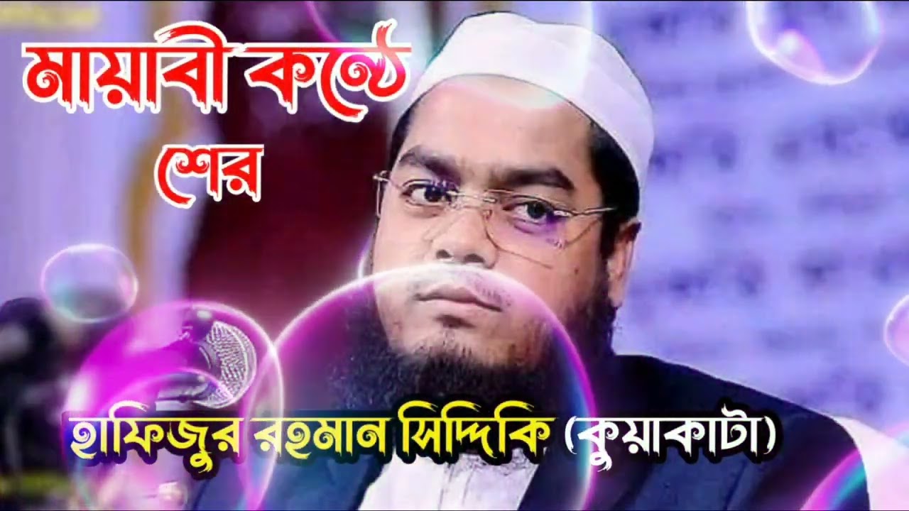 মন মজানো মায়াবী কন্ঠে শের hafizur Rahman siddiki