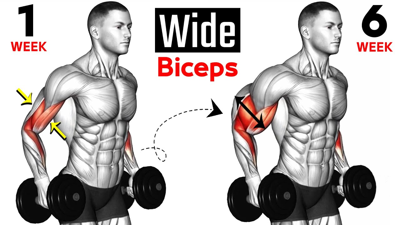 9 BEST Exercises for WIDER BICEPS
