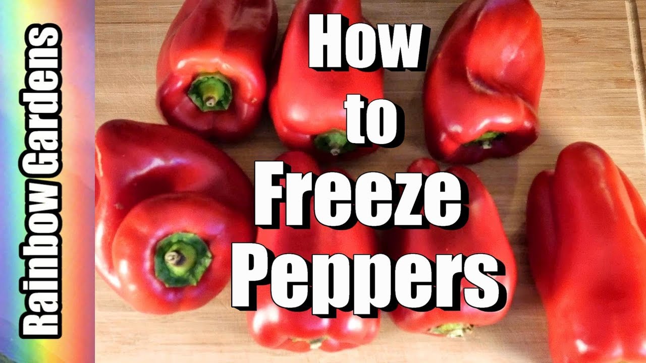 How to Freeze Peppers and Chilies