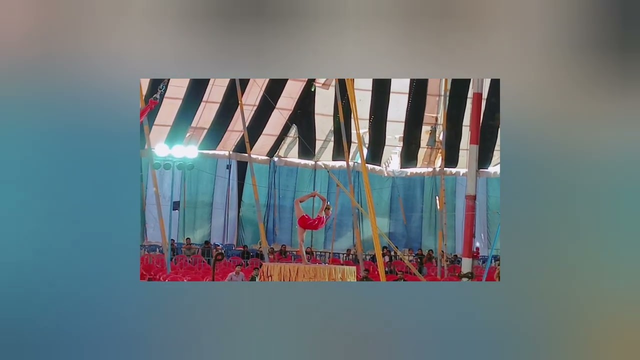 Circus visit 