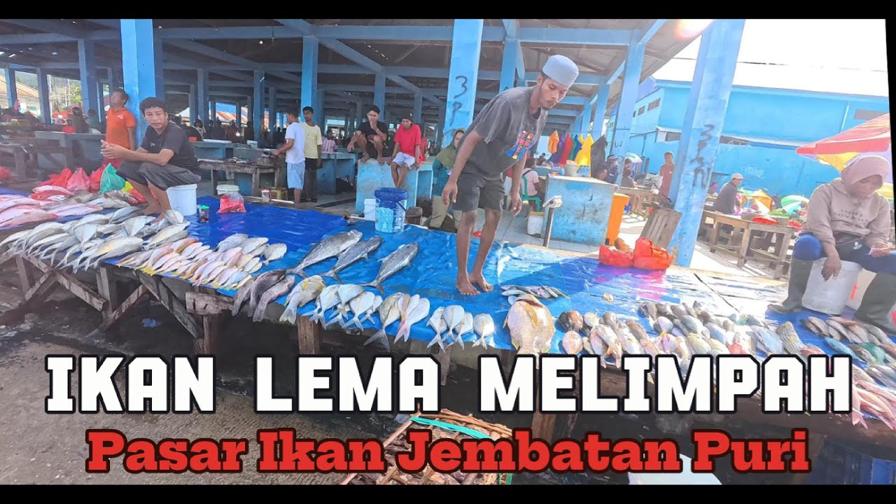 Ikan Lema Melimpah Murah di Pasar Ikan Jembatan Puri Sorong #papua