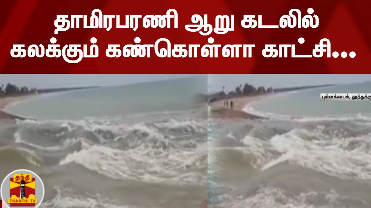 தாமிரபரணி ஆறு கடலில் கலக்கும் கண்கொள்ளா காட்சி... | Thamirabarani River