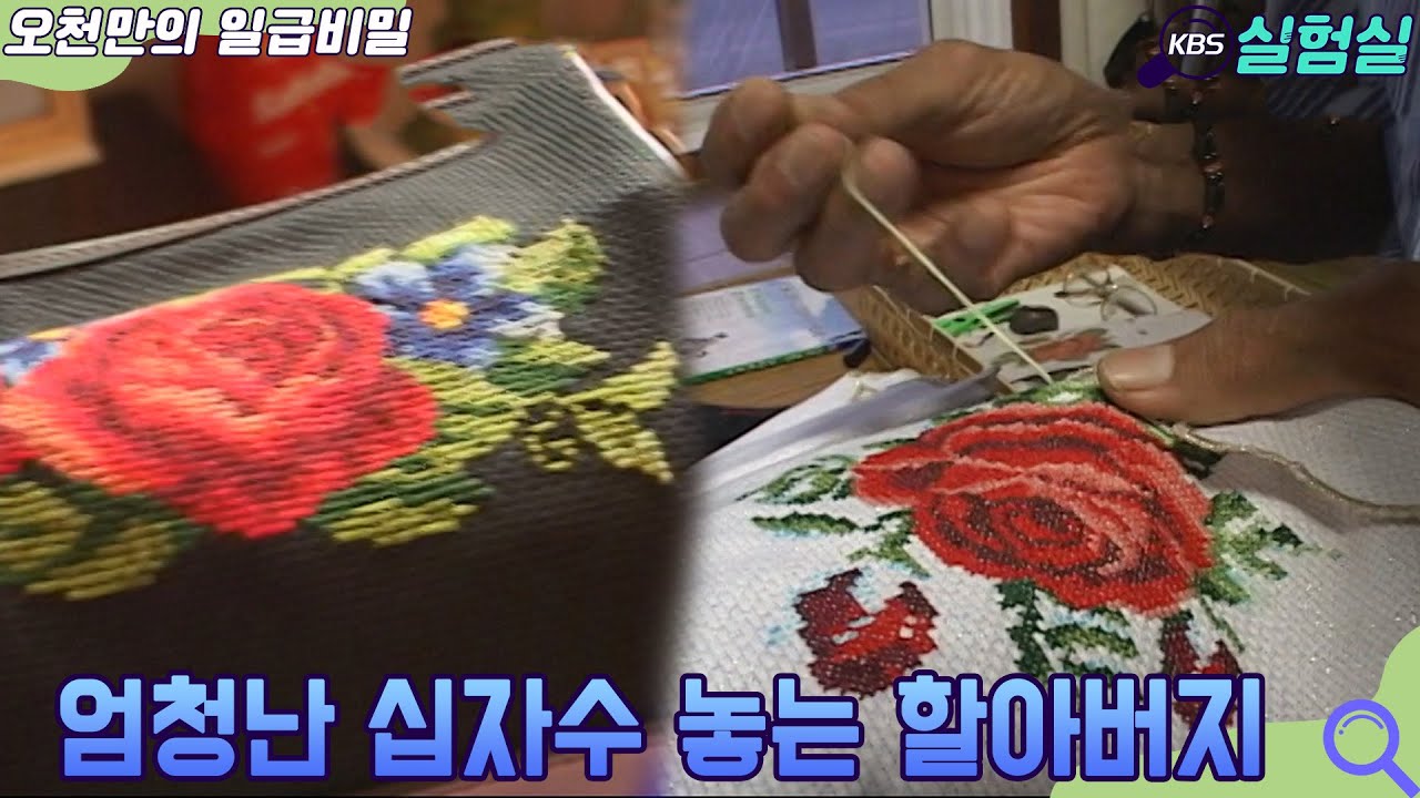 [인생실험] 엄청난 십자수 놓는 할아버지  [오천만의 일급비밀] KBS 20070918 방송