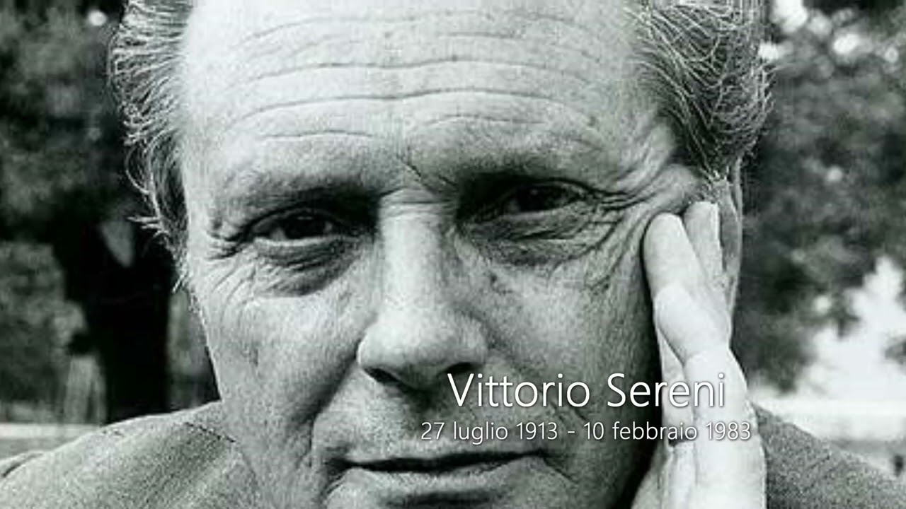 FRANCO BUFFONI - L’albatros di Baudelaire contro il bullismo