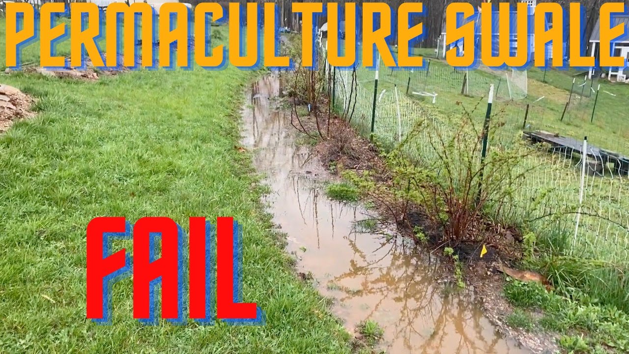 Permaculture Swale Fail