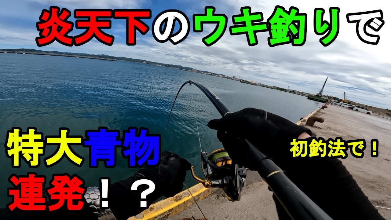 【千葉県某所】炎天下の浮き釣りで特大青物連発！？真夏の終わりの時期に、関東地方の房総半島の東京湾側に面している内房にある激戦区の釣り場で、早朝から日中に掛けて釣りしてみたら…！【2024年8月20日】