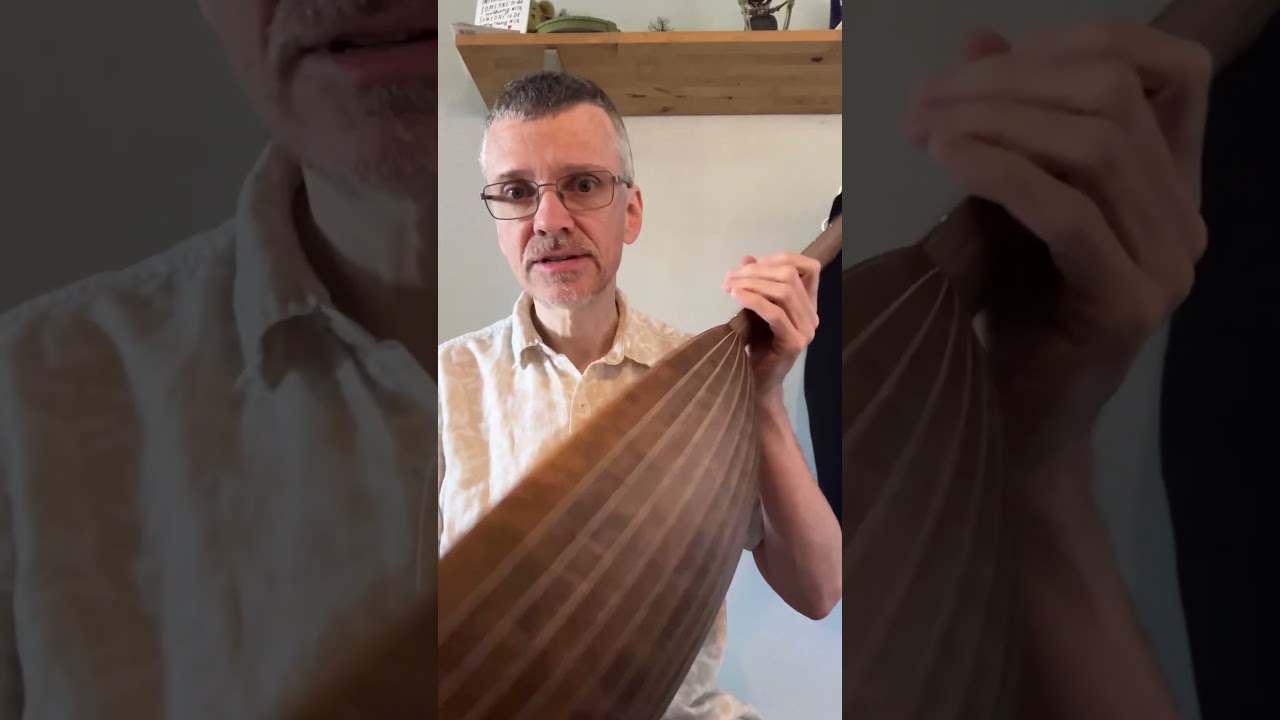 Learning the Lute!