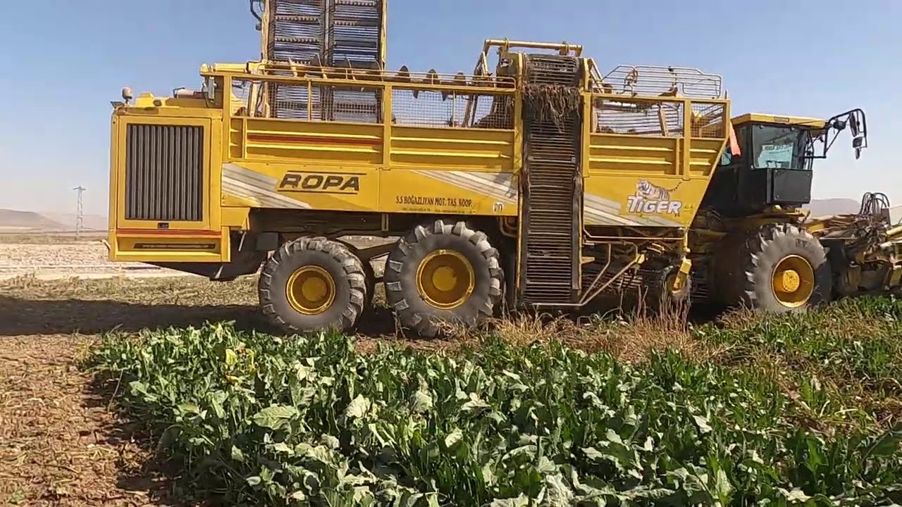 ROPA 6 SİRALİ PANCAR HASAT MAKİNASİ TÜRKİYEDE İLK OLAN VİDEOSU