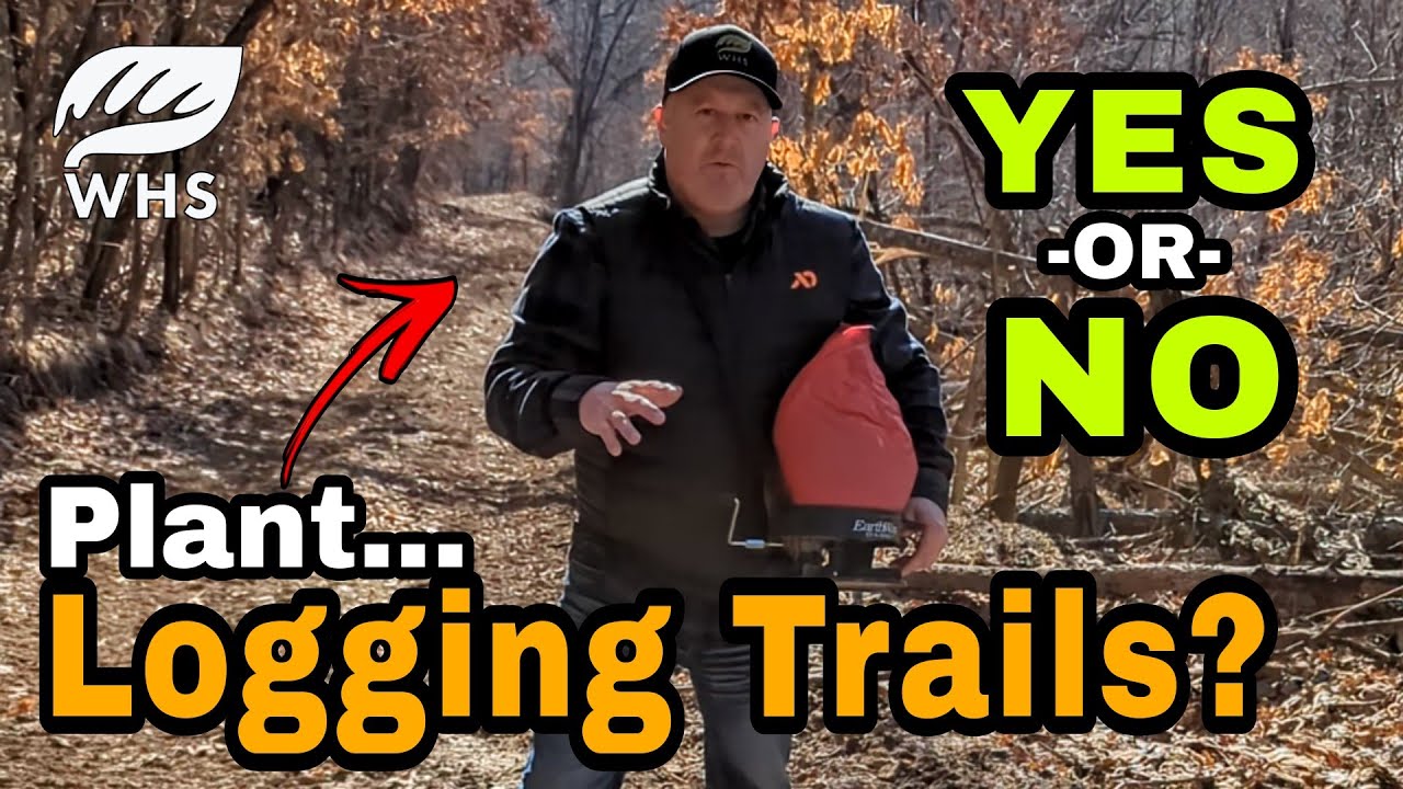 How To Plant Logging Trails - Or NOT