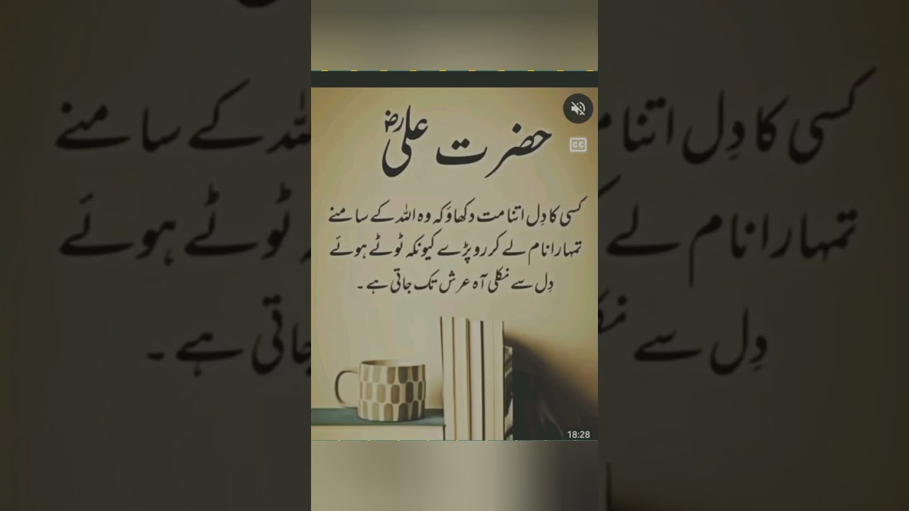 :"Imam Ali's wisdom lights and way 