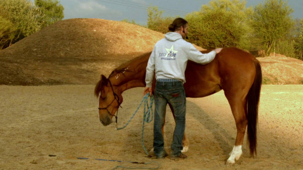 Thomas Günther und TAG 3374 2017 05 05 Mustang Hufe geben