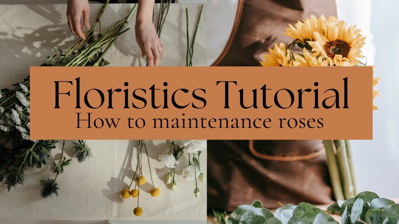 Floristics Basics | Flower Maintenance | Floristics Tutorial