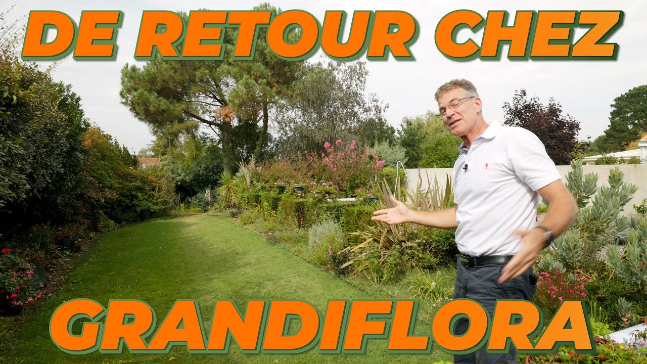 Le RETOUR Dans le Jardin de Grandiflora - Que Faire Dans Mon Jardin ? Semaine 37