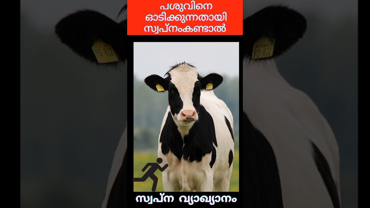 pashuvine oodikkunnath swapnamkandal |swapna vyakyanam