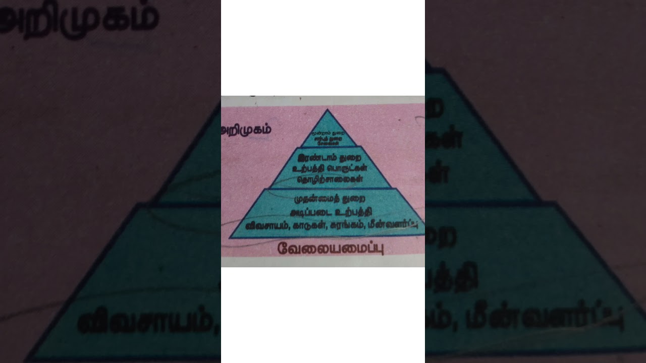 Tnpsc employment notes