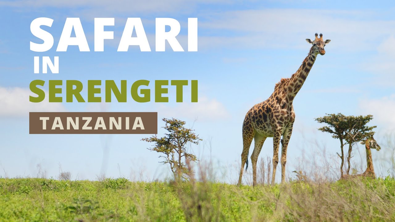Tanzania Safari | Serengeti, day 1