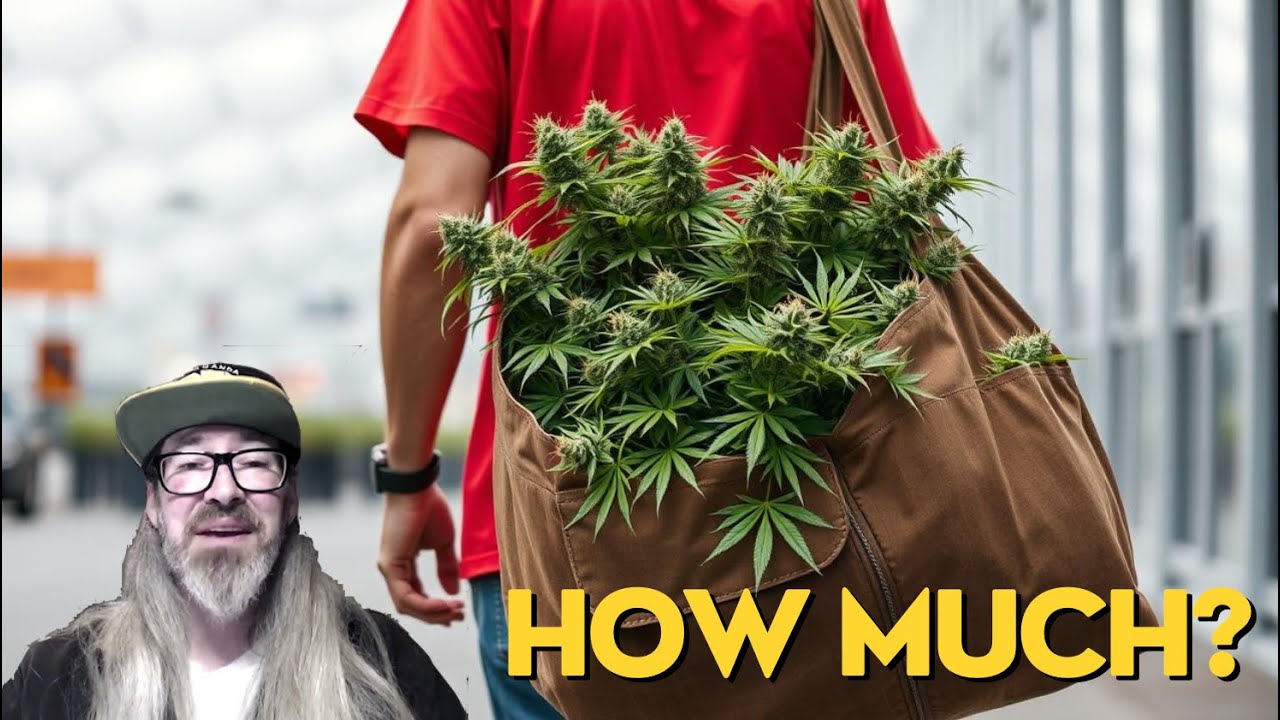 How Much Weed Can ONE Cannabis Plant Produce? w/ Chad Westport