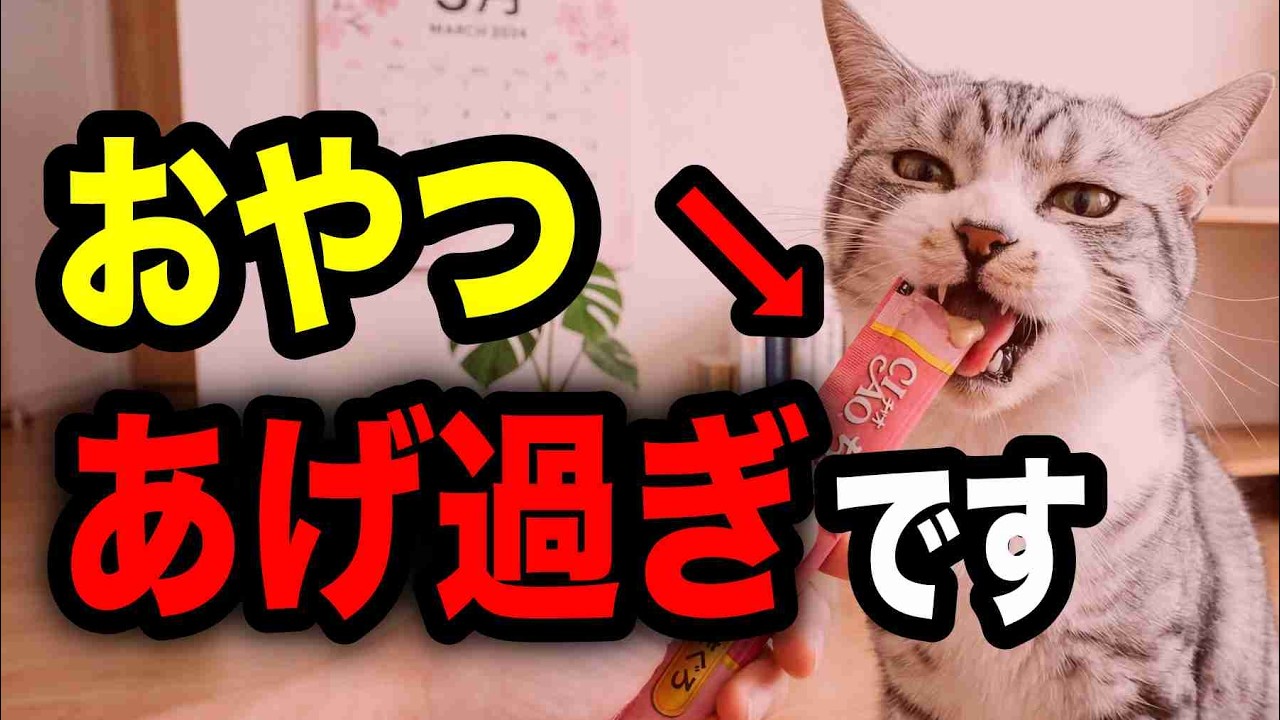 猫のおやつは2割まで【猫の食事がわかる本㉒ P75-79】