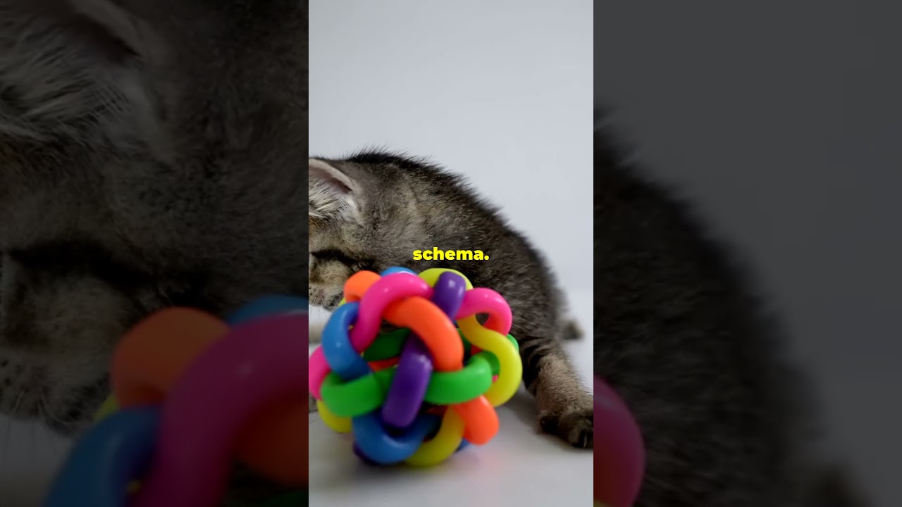 Why Are Kittens So Irresistible Cute? The Science Explained!