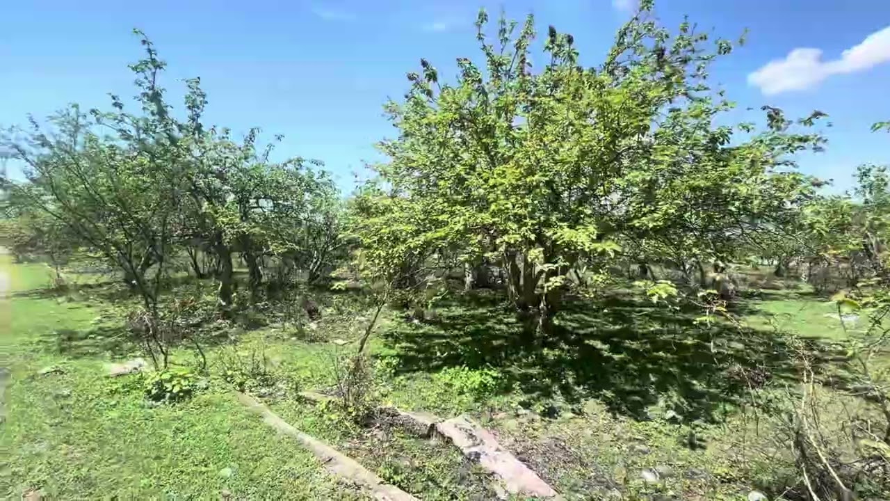 TERRENO EN VENTA ATLAHUACAN, MORELOS