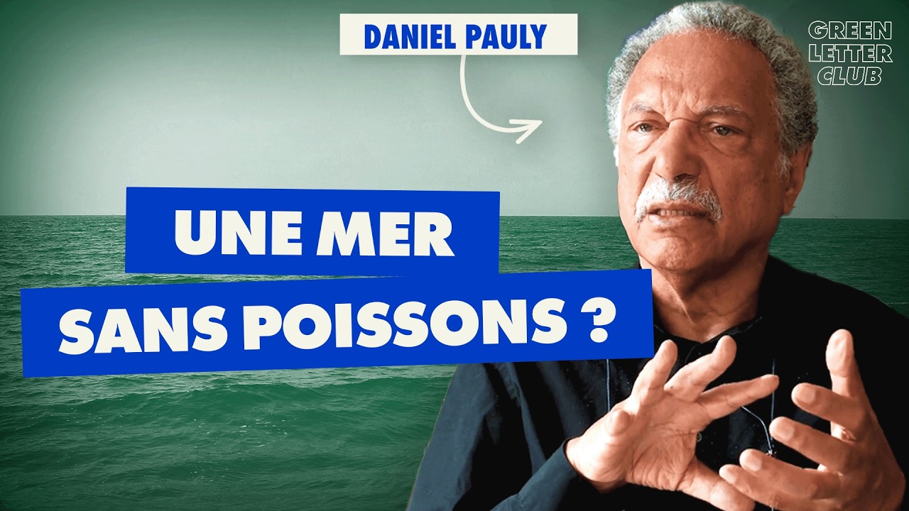Pourquoi les poissons disparaissent-ils en Europe ?