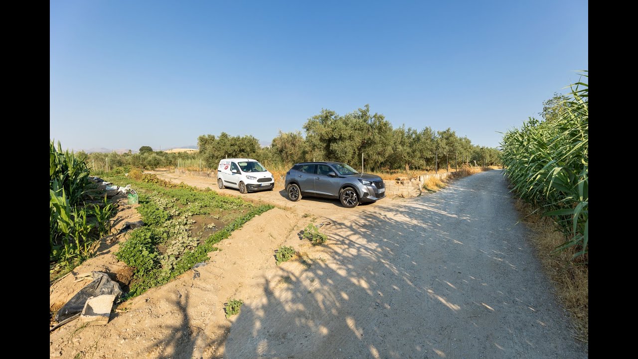 Venta de finca rústica  de regadío en Alhendín (Granada)