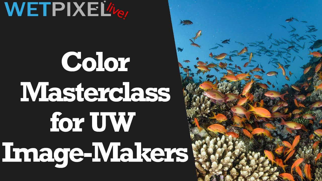 Color Masterclass for Underwater Filmmakers and Photographers