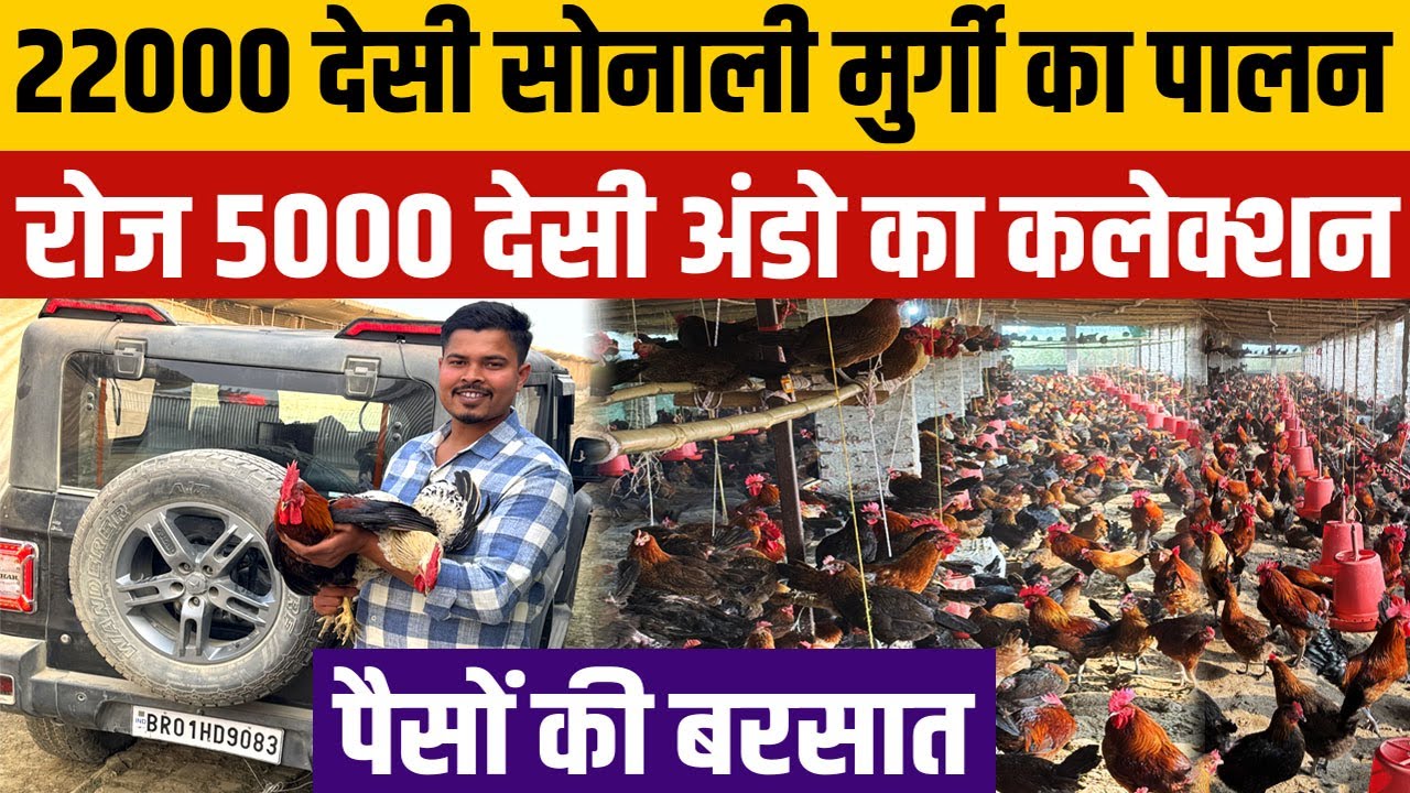 22000 Desi Sonali Murgi पालने वाले SAMASTIPUR के युवा से मिलिए  जानिए DESI MURGI PALAN  के सीक्रेट्स