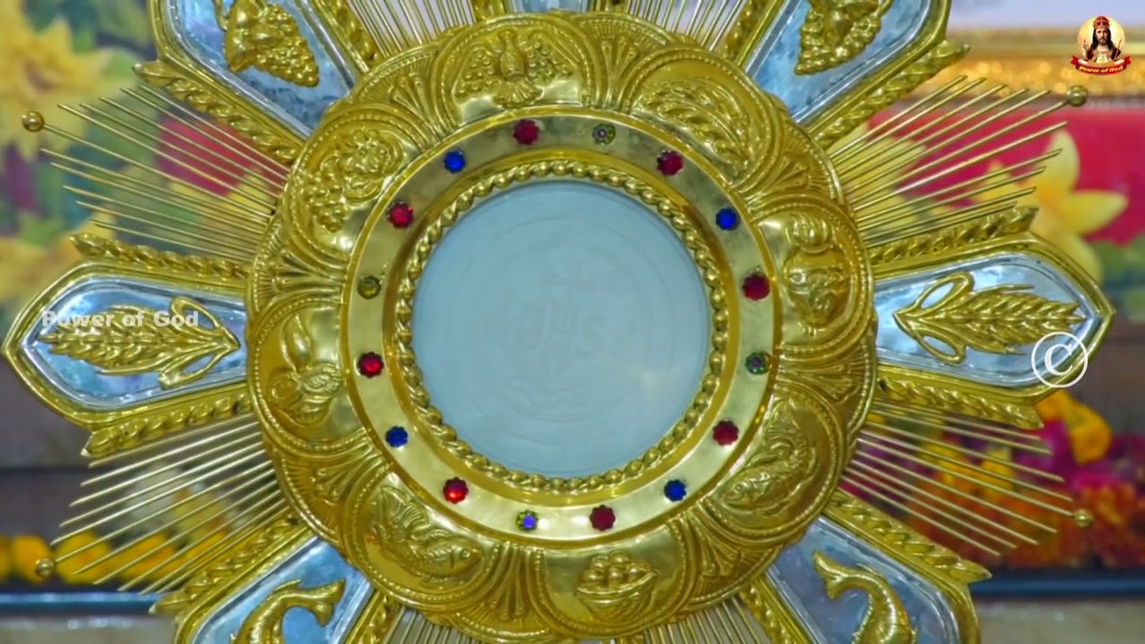 🟢✠ வாருங்கள் ஆண்டவரையே தொழுவோம்  08 February 2026    #Adoration #nightprayer