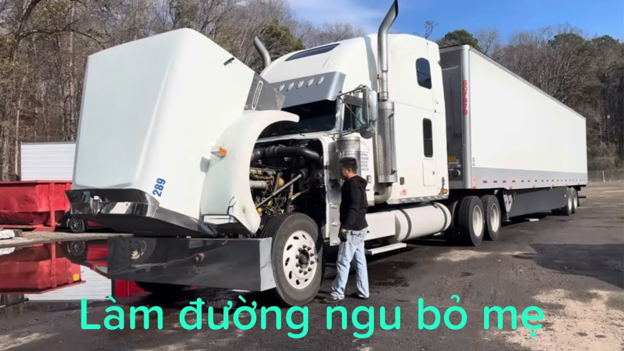 EP-383: ￼ Làm đường ngu bỏ mẹ ￼