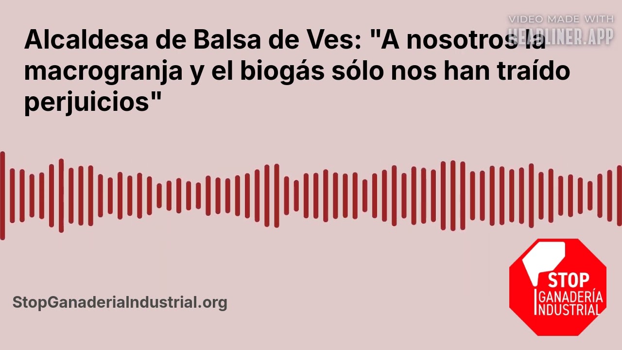 Alcaldesa de Balsa de Ves: 