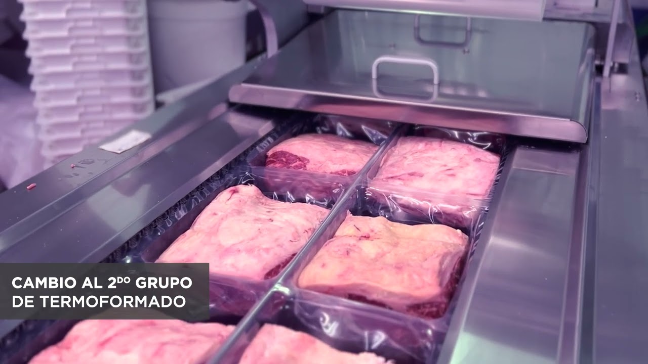 Termoformadora para Carne ME-745