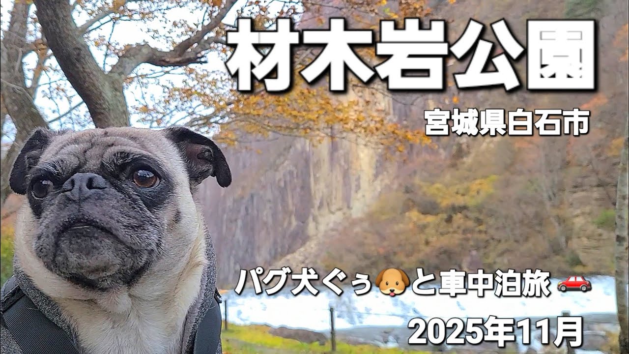 パグ犬ぐぅ🐶と車中泊旅 🚗 2025年11月 宮城県白石市「材木岩公園」