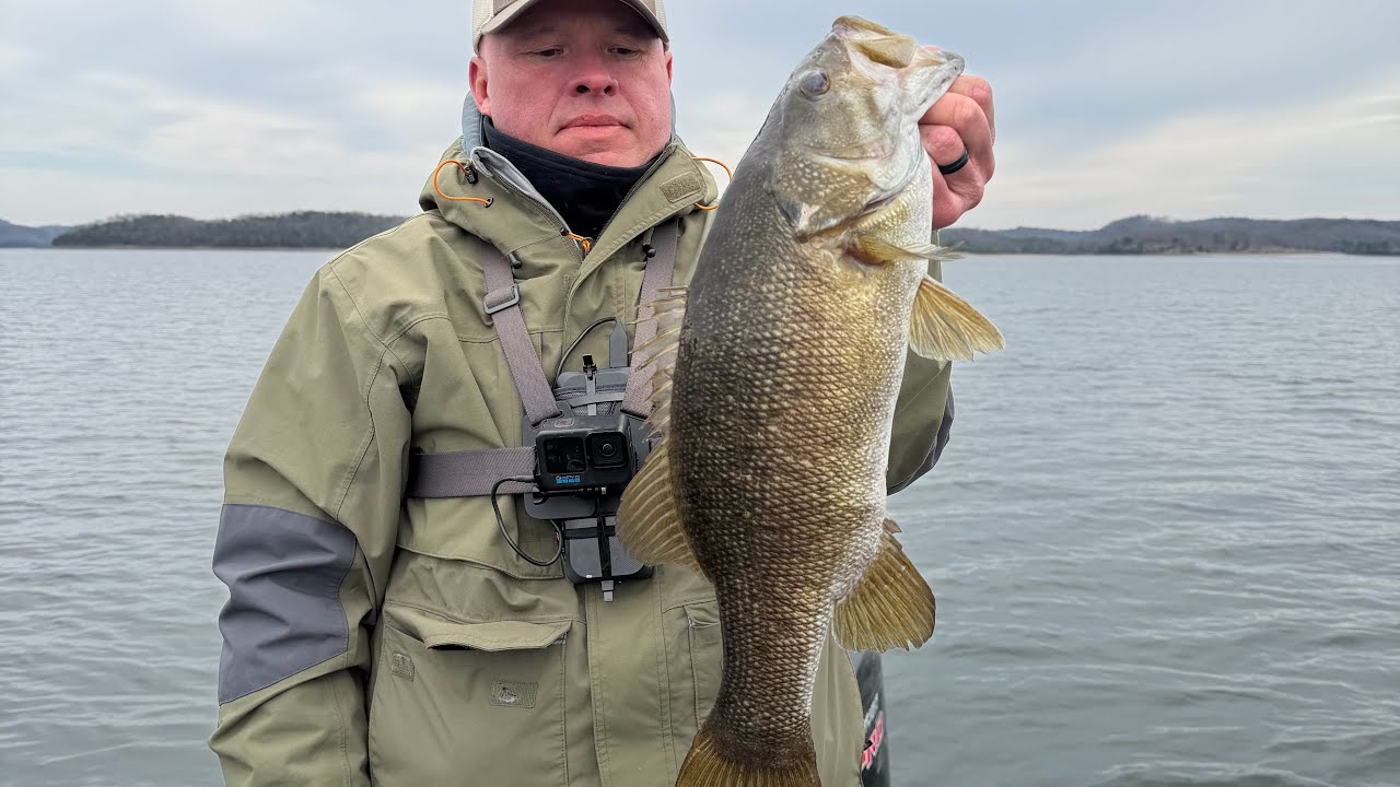 Winter Bass Fishing Dale Hollow Lake! Scoping big largemouth and smallmouth!! New bait company!!