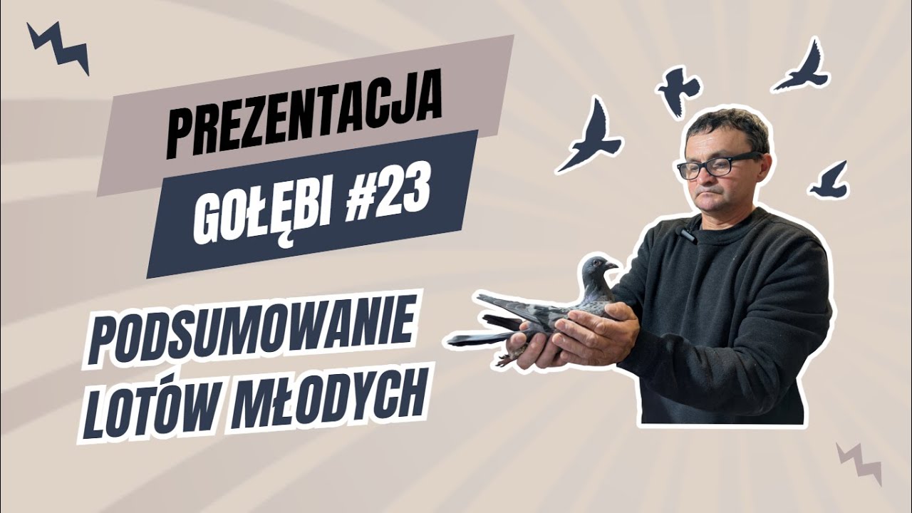Prezentacja gołębi #23 - Bogdan Nieradka - Gołębie Młode Cz.13 - Podsumowanie lotów młodych