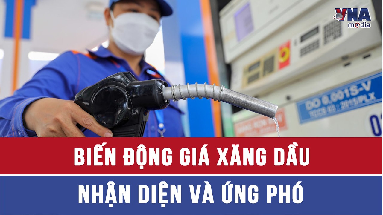 Biến động giá xăng dầu: Nhận diện và ứng phó - VNAMedia